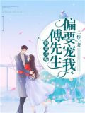 错撩成瘾:傅先生乖乖宠我